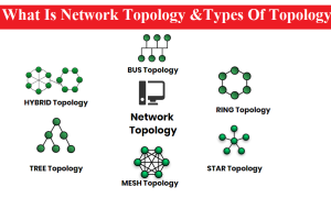 What-Is-Topology-&Types-Of-Topology
