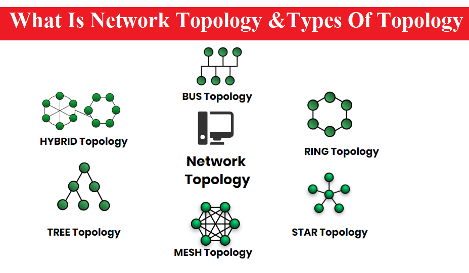 What-Is-Topology-&Types-Of-Topology